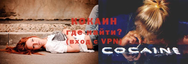 Альфа ПВП Ельня