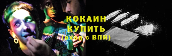 соль ск Елизово