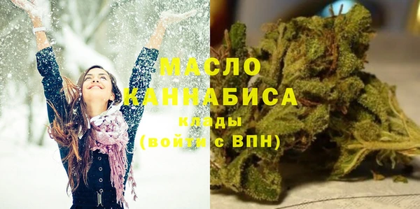 Альфа ПВП Ельня