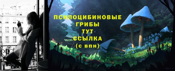 соль ск Елизово